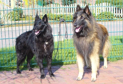 Fabie&Ocean 28.03.2012